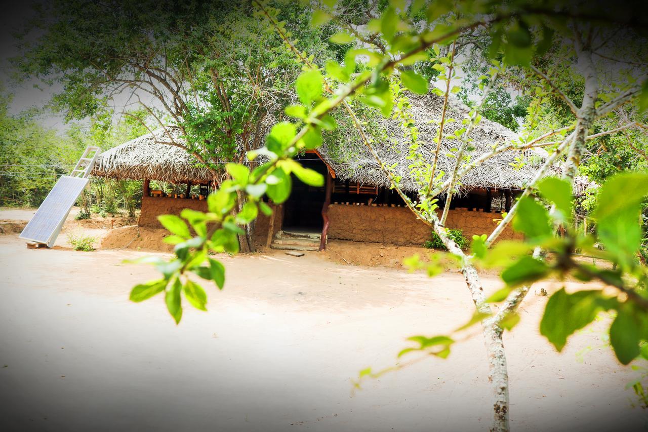 Yala Wild Corridor Camp Hotel Tissamaharama Buitenkant foto